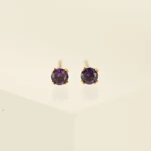 February Birthstone Gold-Filled Stud Earrings