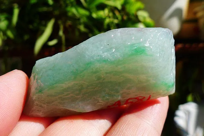 Natural Jade Rough Jadeite Raw (32g,5.2X2.7X1.3cm)