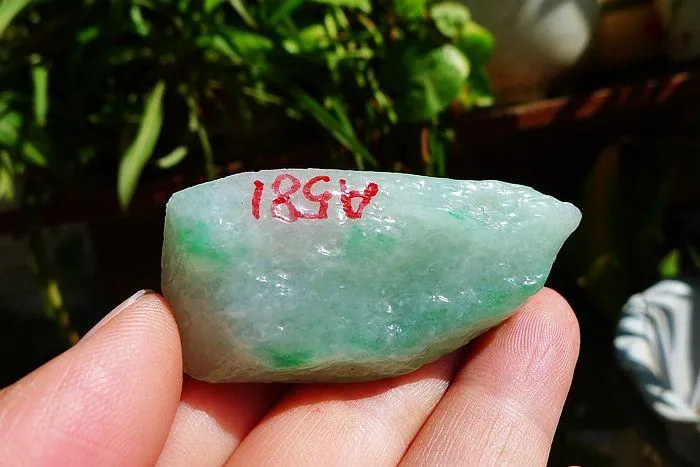 Natural Jade Rough Jadeite Raw (32g,5.2X2.7X1.3cm)