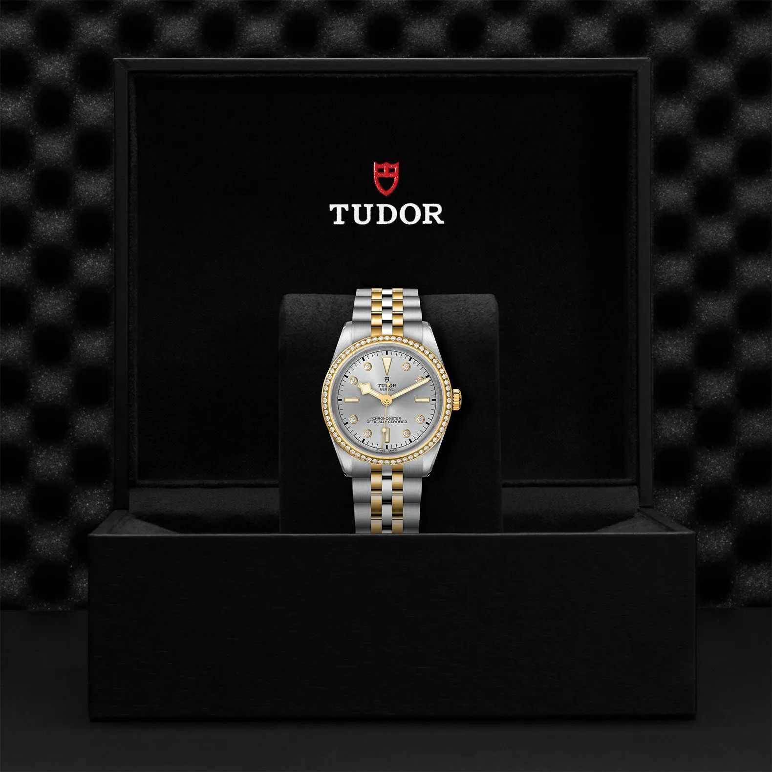 TUDOR Black Bay 36 SG